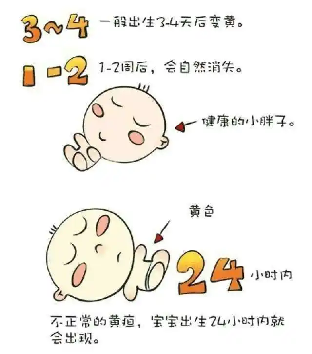 f333d23a2d3c4eab851c50494edb1f9.png