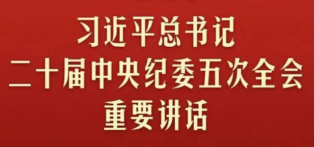 一图速览二十届中央纪委五次全会精神